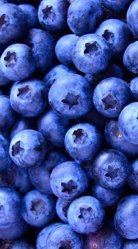 Wholesome Berry Ensemble from Local Fields