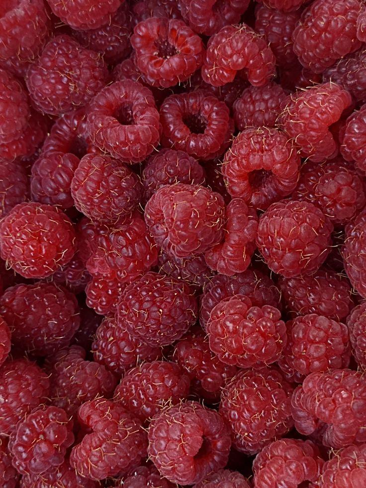 Berry Bounty: Nature's Sweet Symphony